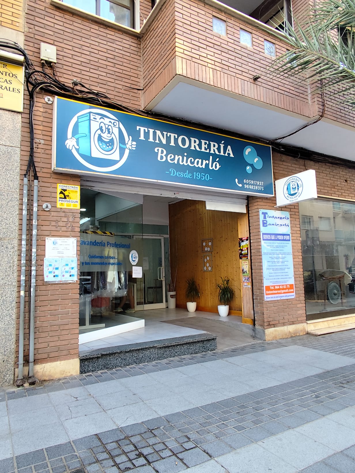 Fachada Tintorería Benicarló — entrada principal
